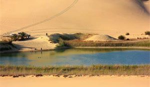 oasis Siwa